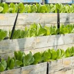 How to create a portable vertical garden How to create a portable vertical garden